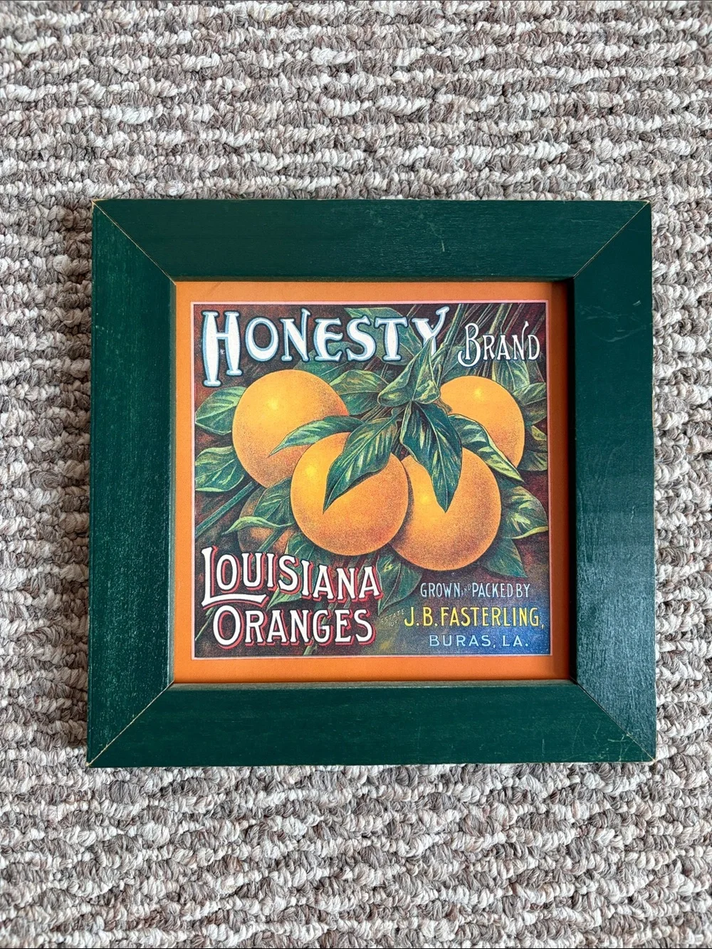 Louisiana Oranges Framed Wall Art